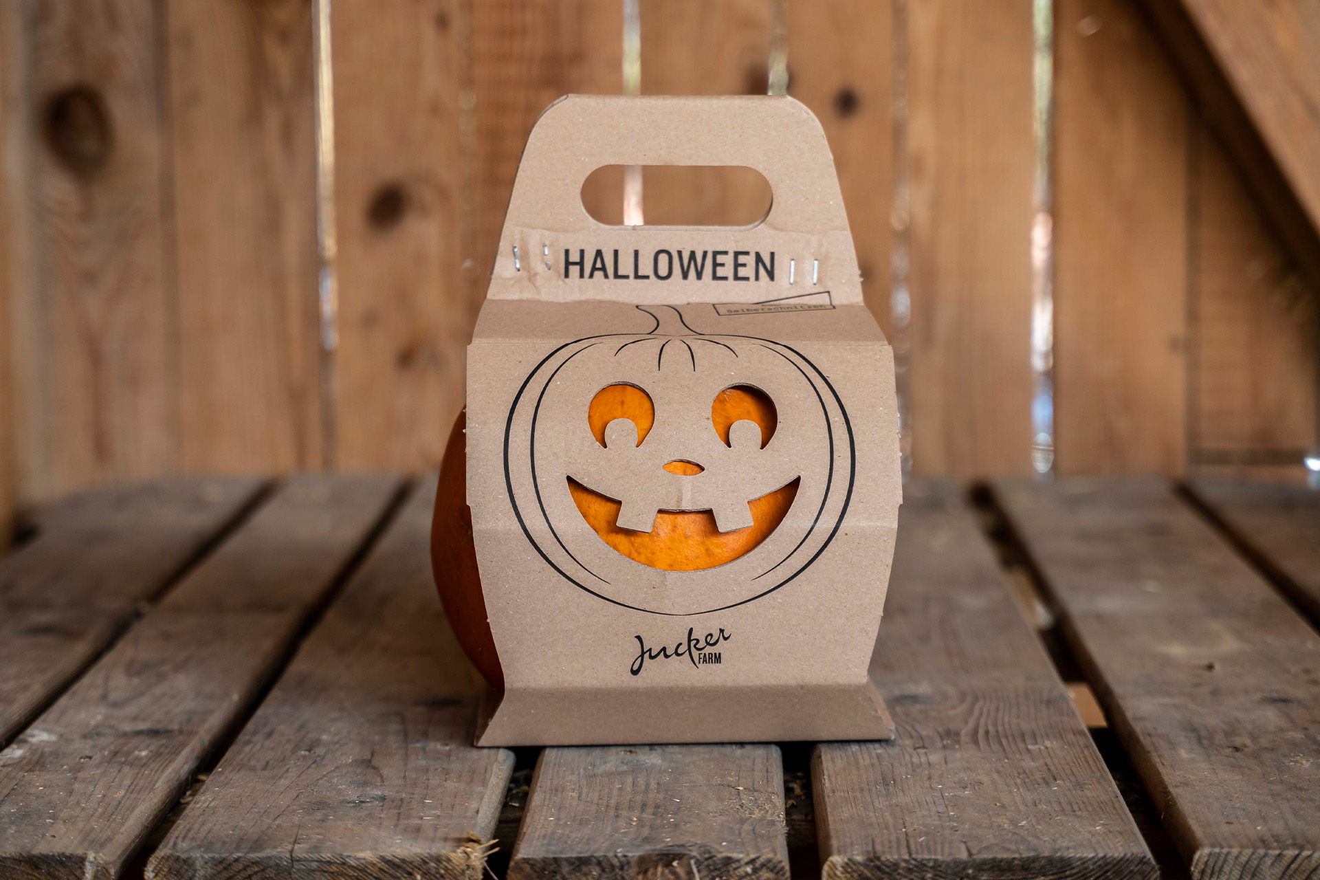 JS009 gross orange mit Maske